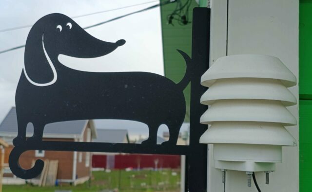 Питомник Я Такса — ятакса.рф