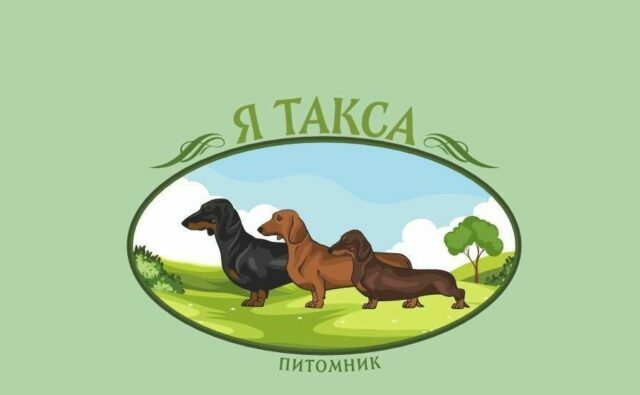 Питомник Я Такса — ятакса.рф