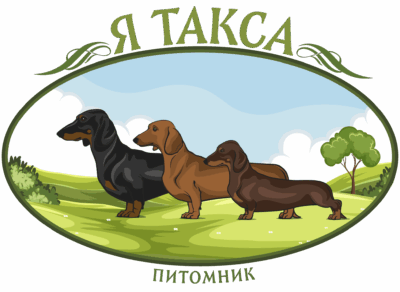 Я Такса | Питомник собак