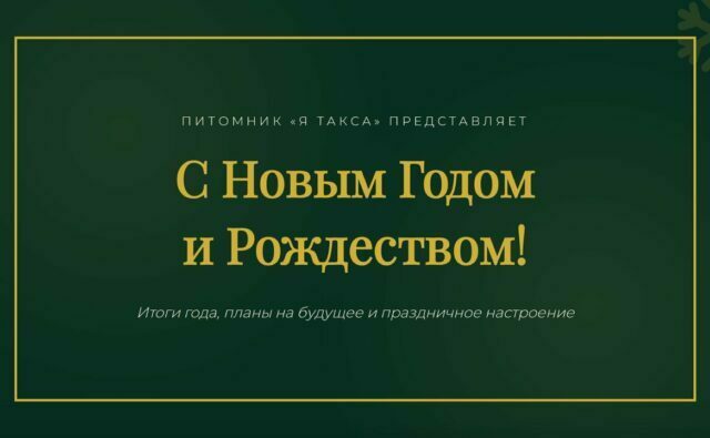 Питомник Я Такса — ятакса.рф